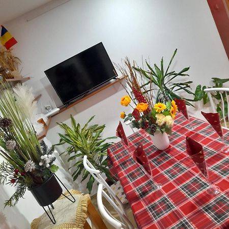 Apartment Boulevard Cetate Alba Iulia Exterior photo