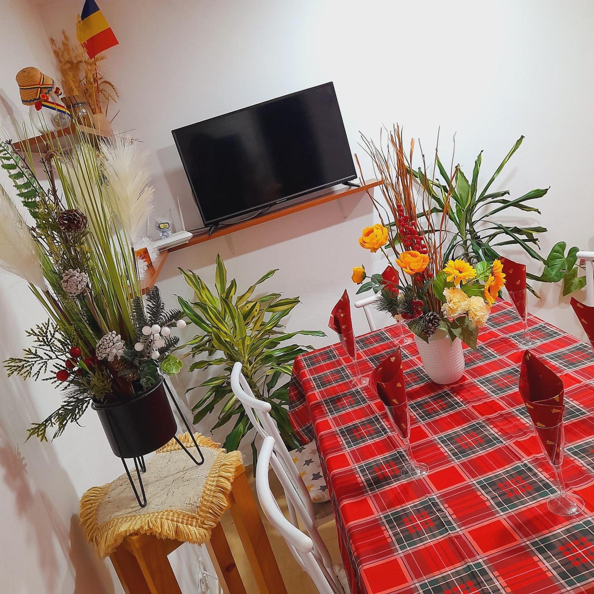 Apartment Boulevard Cetate Alba Iulia Room photo